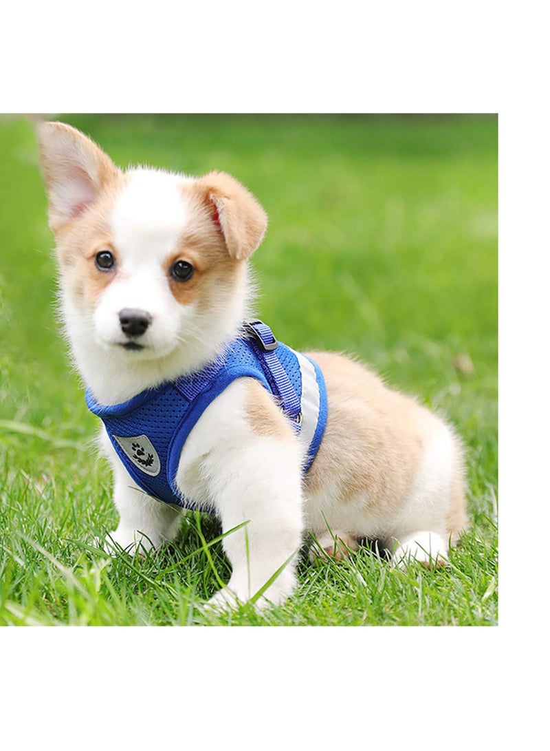 حزام صدر عالمي مع طوق ومجموعة حبال ناعمة شبكية مبطنة لحيوانات أليفة للجراء والقطط حزام عاكس قابل للتعديل وقابل للتنفس وآمن للمشي في الهواء الطلق - Image 2